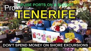 TENERIFE CRUISE PORT on a Budget - What to see and do without spending a fortune.