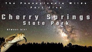 The DARKEST skies in the EAST? | Cherry Springs State Park + A run in with a rattlesnake.