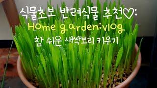 키우기 쉬운 식물, 홈가든:Home garden, easy to grow