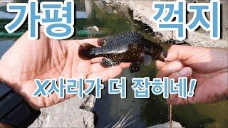 [꺽지낚시]"가평 조종천" 형이(x사리) 여기서 왜 나와~