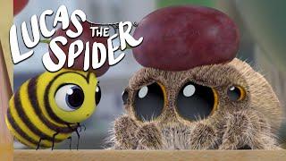 The Hardest Goodbye to Your Best Friend | Lucas The Spider and Maizie