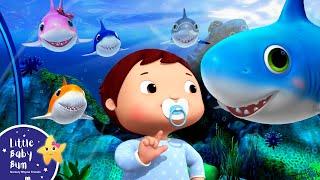 Baby Shark Dance! | Move with Little Baby Bum | Nursery Rhymes & Baby Songs  ABCs and 123s