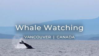 Whale Watching in British Columbia with Prince of Whales