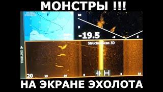 Актив Таргет 2 . Огромный объект на экране эхолота !!! ЧТО ЭТО!!!