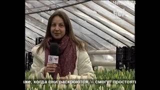Программа «Челны 24», новости Челнов от 02.03.2021