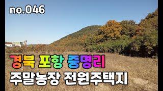 포항 중명리 과수원 토지매매 | 046