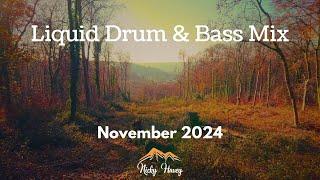 Liquid Drum & Bass Mix - November 2024 - Nicky Havey Tunes