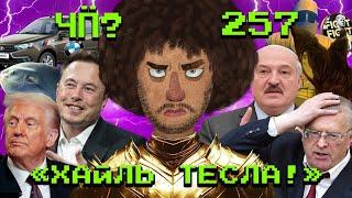 Чё Происходит #257 | Трамп великий и ужасный, мемкоин «Жириновский», рыбу-луну спасли от депрессии