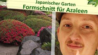 Azalee und Kirschblüte: Die Pflege des Japanischen Gartens im Egapark Erfurt | MDR