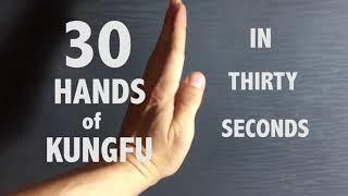 30 Hands of KungFu in 30 Seconds - Different Fists of Gongfu | Kungfu Nerd