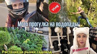 Мото прогулка на водопады.  Какие растения есть на рынке садовод в Москве?