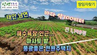 [땅임자찾기-2247]해수욕장인근 마사토밭 풍광좋은 태안토지 매매