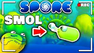 Spore, The Evolution of the SMALLEST Species (FULL STREAM)