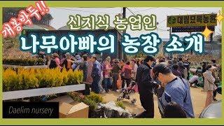 신지식 농업인 나무아빠가 농원을 소개합니다./Daelim nursery