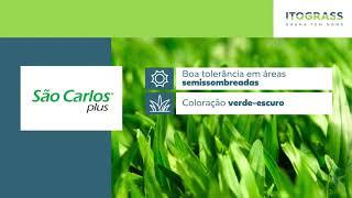 Itograss | São Carlos Plus (30seg)