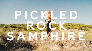 Superfood on the beach : pickled Rock Samphire, Crithmum maritimum