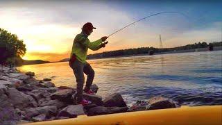 BANK FISHING MADE EASY!!! Tips For Catching More Fish From The Bank