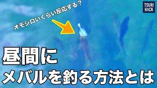 日中にメバルを釣る方法を人気プロに聞いてみたら…魚が面白いぐらいに反応した！【デイメバリング攻略】