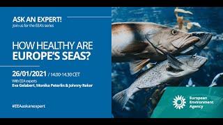 EEA Ask an expert - How healthy are Europe's seas?