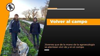 Bichos de Campo TV: Volver al Campo