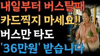 버스 탈 때 지갑 찾지 마세요!  카드 안찍어도 자동으로 결제되는 편리한 세상입니다! 버스만 타도 36만원 돌려받는 방법까지 꼭 확인하세요!