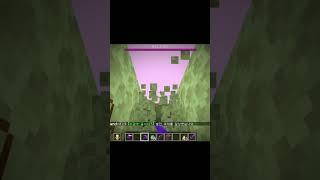 엔더 포털 입장 minecraft the end