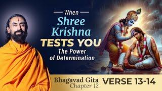 When Shree Krishna Tests You - Do you Have the Determination NOT to Give Up? | Swami Mukundananda