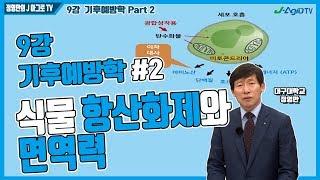 [정영만의 J 아그로TV] 식물 항산화제와 면역력 (9강 기후예방학 Part 2)