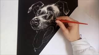 Portrait of the dog VADER - Making off (by ICRA)