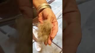 Unbelievable what comes up, a pet owner must have #cleantok #cleaningtips #pets#cleaninghacks#clean