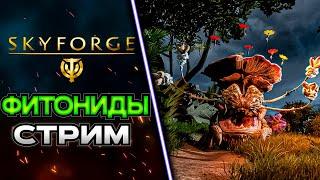 ОПЕРАЦИЯ БЕЗ КОШМАРОВ!  SKYFORGE