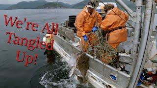 Hauling in a Giant Snarl! | Halibut Longlining