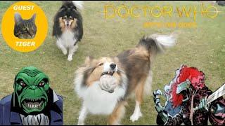 The Yorkshire Time Lord - Doctor Who With The Dogs: Dogbolter