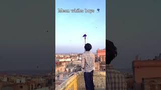 Girls vs boys  happy Makar Sankranti 🪁 #jaipur #makarsankranti #trending #2024