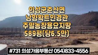 #731 의성가음부동산 남향 확트인 경관 사과밭 채소밭 589평 3800만 (당6.5만) 싼물건 전기가능 건축가능 햇살가득 청정지역 개울물철철 주말농장용 #의성땅#의성토지#전원생활