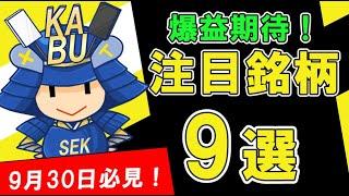 株式投資 爆益期待！9月30日の注目銘柄！ SEKの株TV