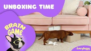 Brain Games for Puppies and Dogs — Unboxing Time DIY | EveryDoggy