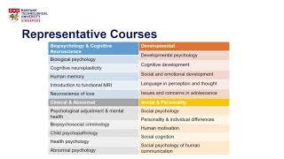 What will you learn in psychology at NTU?