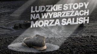 Skąd się biorą ludzkie stopy u wybrzeży morza Saliskiego?