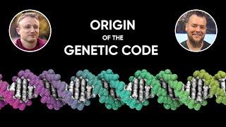 Origin of the Genetic Code: What we do and do not know