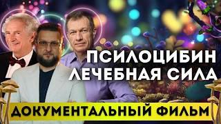 Документальный Фильм: Грибы, которые Исцеляют: Новая Эра в Медицине