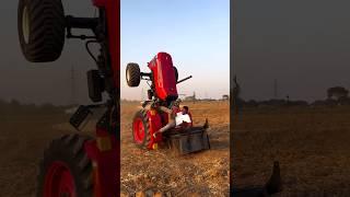 Mor Stunt Kaise He #shorts #viralreels