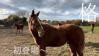 【新しい仲間】　ナムラボルテージ2024が到着しました️️