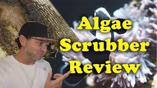 DIY Algae Scrubber Review