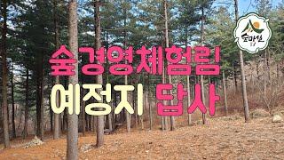 숲경영체험림  산림 임업 농업 6차산업 임업후계자 독림가  임업후계자 임산물 임업직불금 농업경영체 임업경영체 귀농귀촌정보 귀산촌정보 그루경영체 야영장 숲카페 트리하우스 휴양림