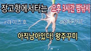 아직한발 남았다! 주꾸미