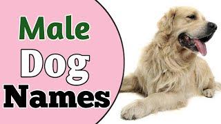 Top 30 Best MALE Dog Names Ideas 2021 || Unique & Cute Boy Dog Names || NamoLozy