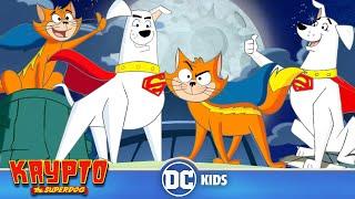 Krypto The Superdog | Krypto And Streaky Save The Day | @dckids