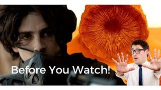 Dune - Part Two: Trailer Analysis and Easter Eggs