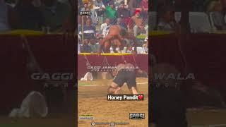 ️ honey pandit ️ || Honey Aya Hoya || #kabbadi #reels #viral #youtubeshorts #shorts